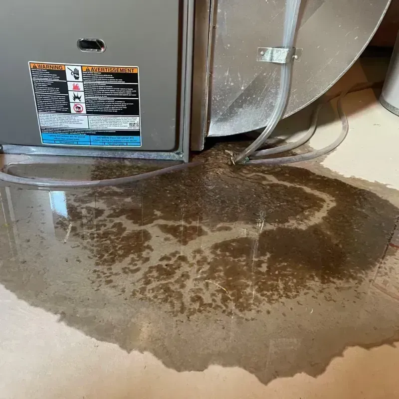 Appliance Leak Cleanup in Hopkins County, KY